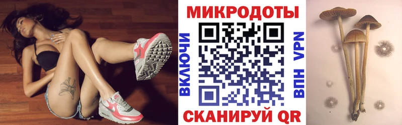 даркнет сайт  Малгобек  Галлюциногенные грибы MAGIC MUSHROOMS 